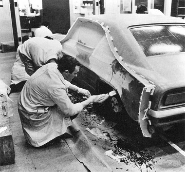 Colt in Originalgr&ouml;sse